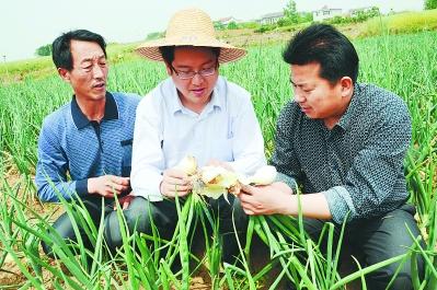 學會安靜地扎根