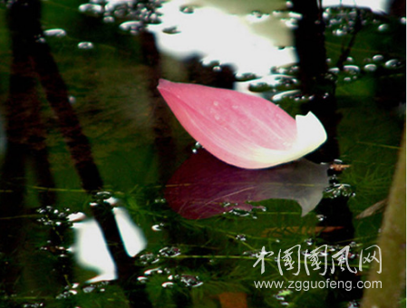 （小雨絲286）霜的愛(ài)