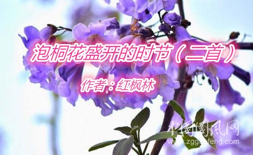  泡桐花盛開的時(shí)節(jié)（二首）