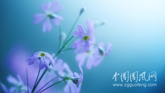 逆時(shí)之夢(mèng)