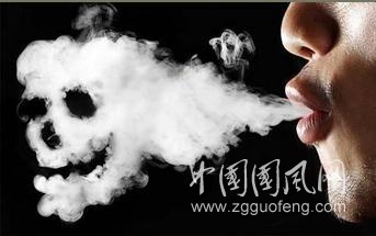 一根煙的命