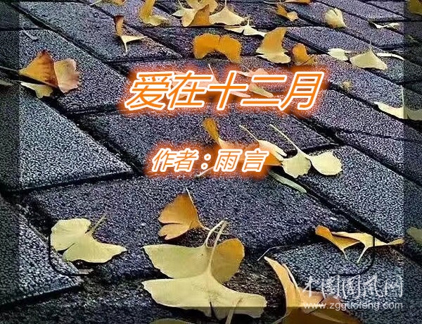  愛在十二月（作者：雨言）
