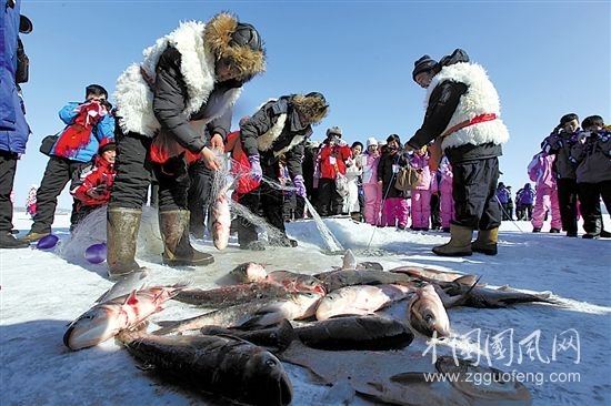 《冬天的魚(yú)都藏在冰下面》