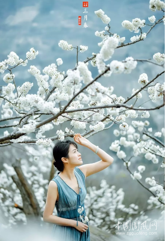 QQ截圖20180328173804.png