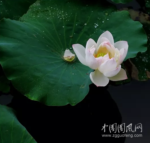 QQ截圖20180328174726.png