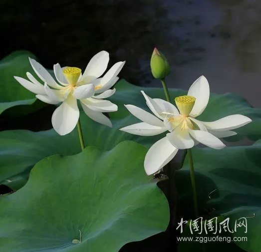 QQ截圖20180328174754.png