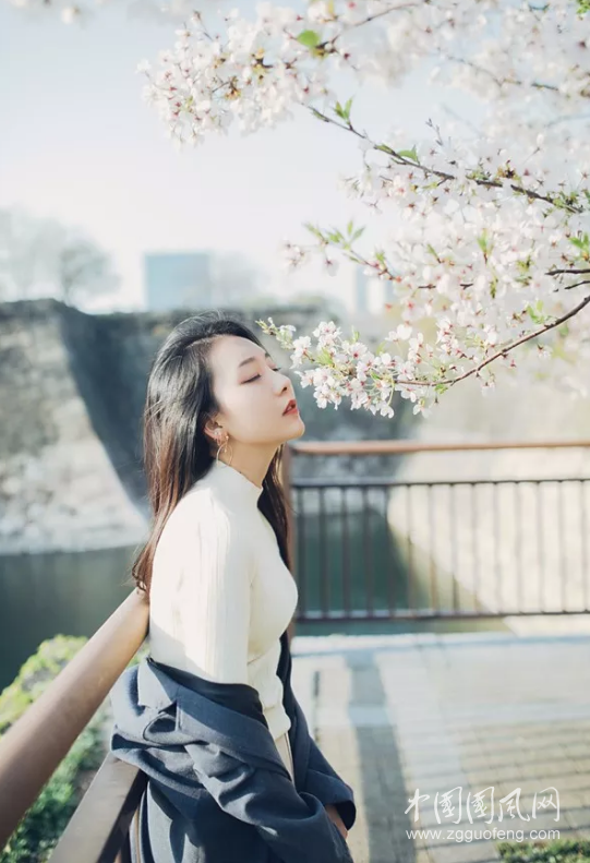 飛向愛的國度，飛向你