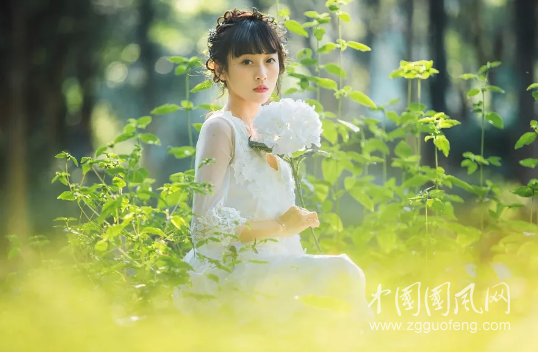 QQ截圖20180329202402.png