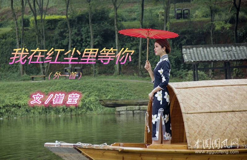我在紅塵里等你（外一首）【文  崔瑩】