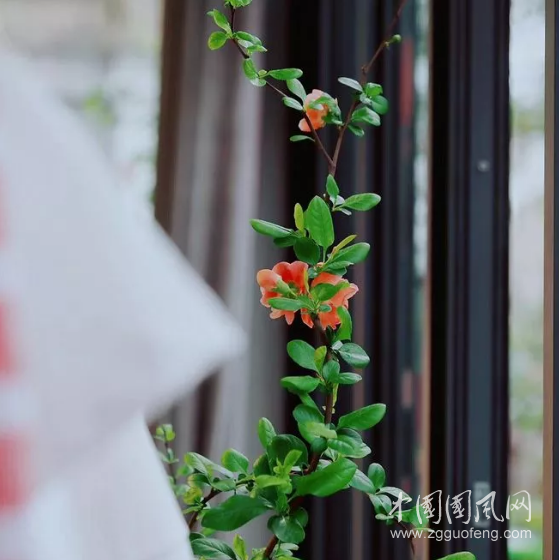 QQ截圖20180330190823.png