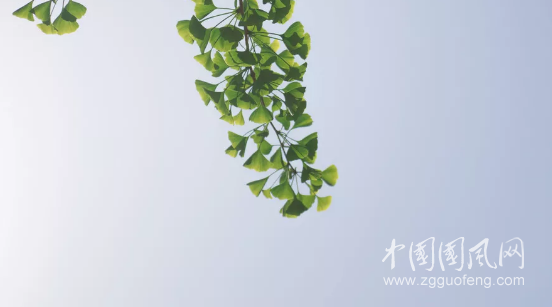 QQ截圖20180408194448.png