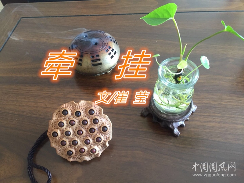 牽  掛（文/崔瑩）