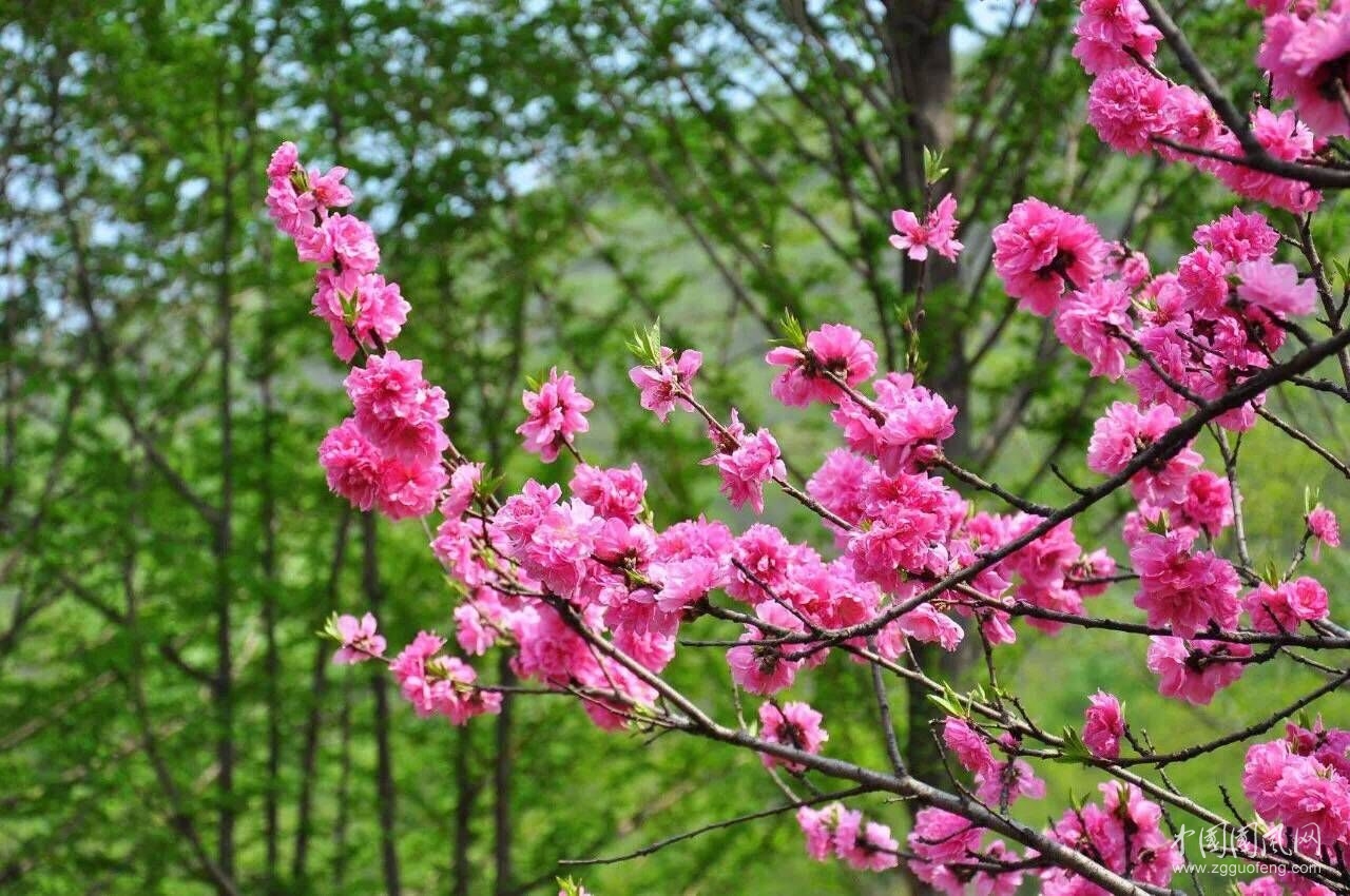 雨季輕私語(yǔ)