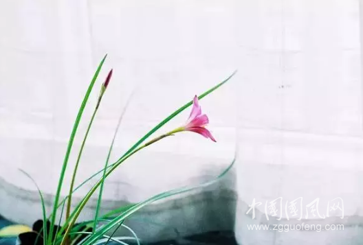 QQ截圖20180420183754.png