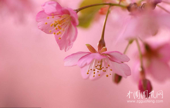 QQ截圖20180502185631.png