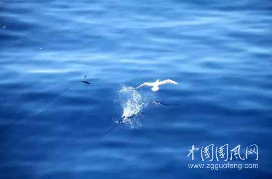 QQ截圖20180503153958.png
