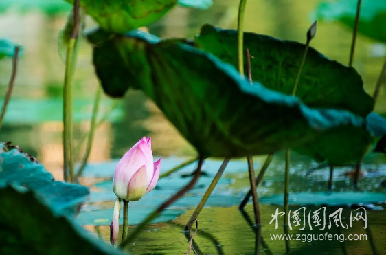QQ截圖20180503183831.png