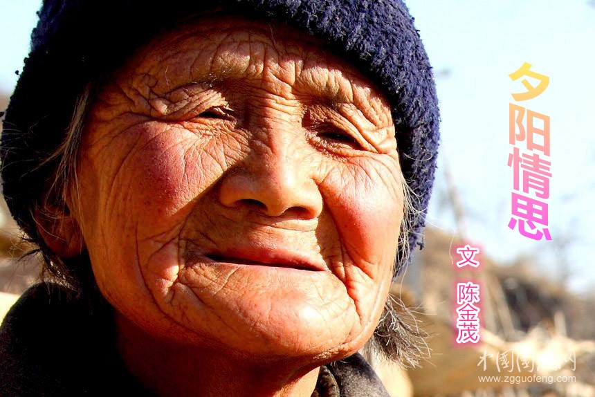 夕陽(yáng)情思（文／陳金茂）