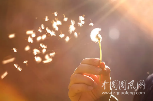 QQ截圖20180514154546.png