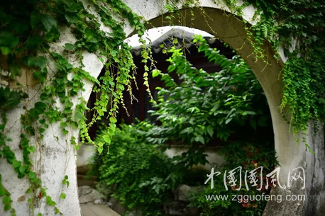 藝圃，許我一段慢時光