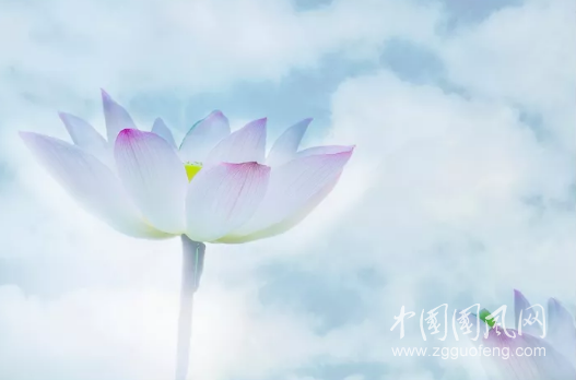 QQ截圖20180515165916.png