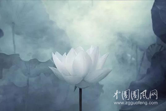 QQ截圖20180515165857.png