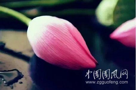 QQ截圖20180516180823.png