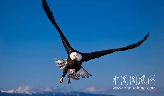 QQ截圖20180516174939.png