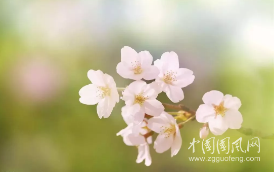QQ截圖20180517161934.png