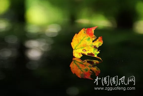一直很安靜