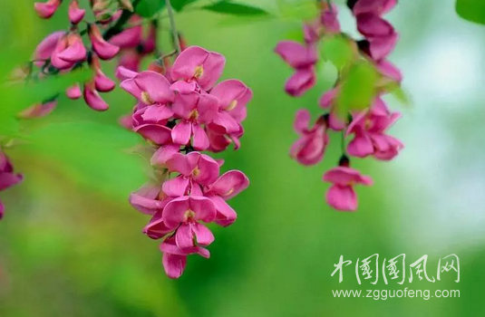 QQ截圖20180518185430.png