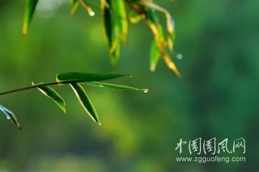 QQ截圖20180517174135.png