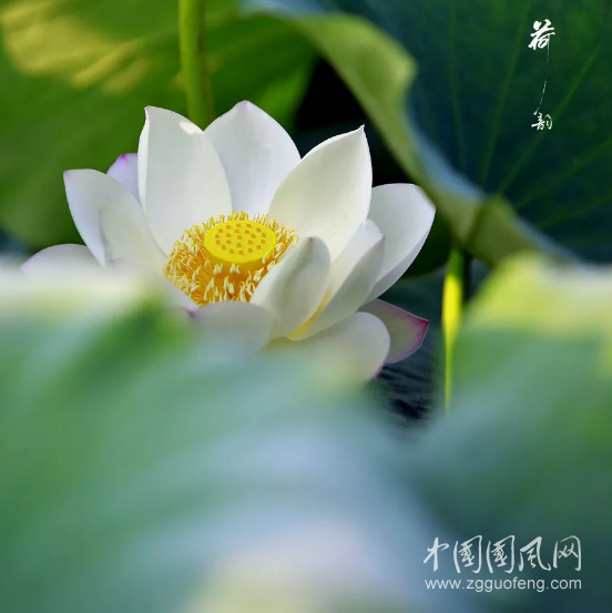 QQ截圖20180521141308.png