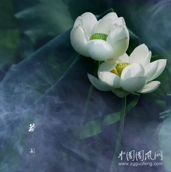 QQ截圖20180521141251.png
