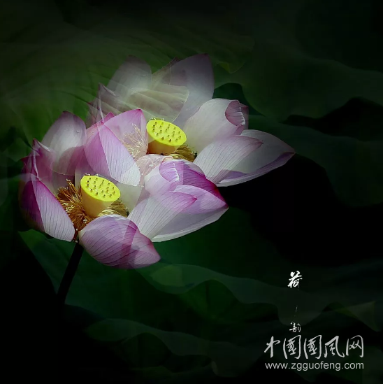 QQ截圖20180521141258.png