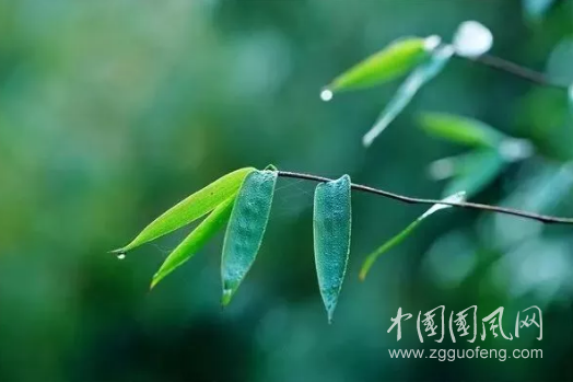 QQ截圖20180517174117.png