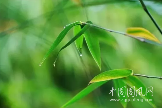  情網(wǎng)