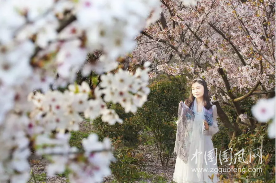 QQ截圖20180524184931.png