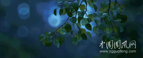  花期詩雨