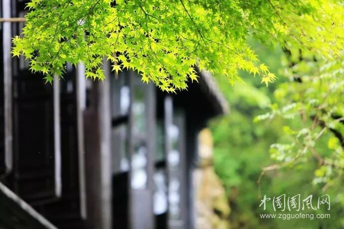 一念緣起，一念緣滅