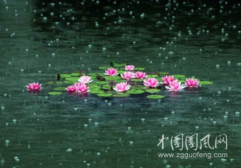 淮北聽雨?