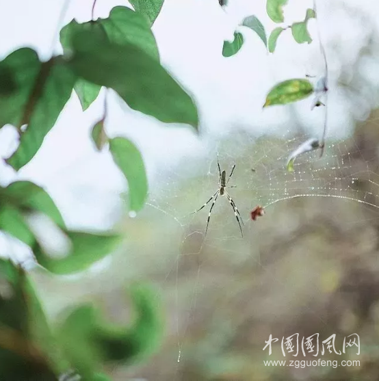  心若向陽，處處陽光