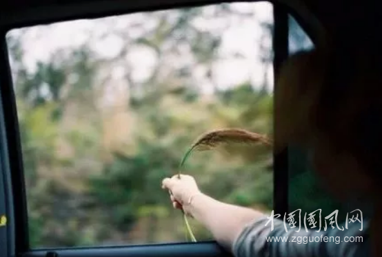  時光的河
