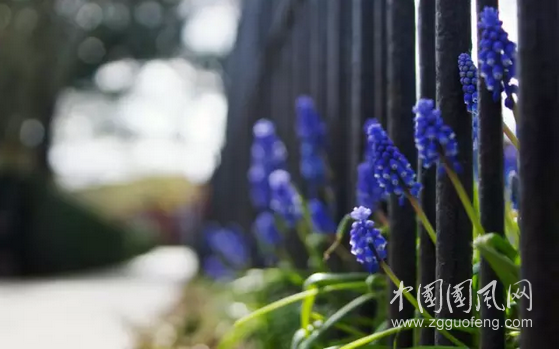 QQ截圖20180603200346.png