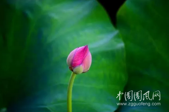 QQ截圖20180605173946.png