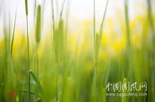 QQ截圖20180605175643.png
