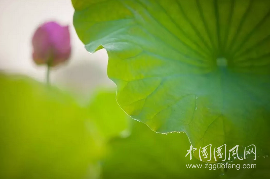 QQ截圖20180605173708.png