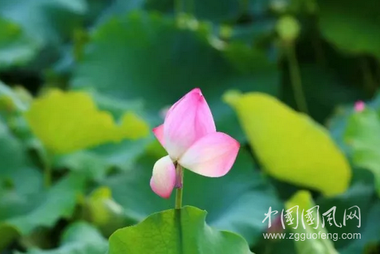 QQ截圖20180605174020.png