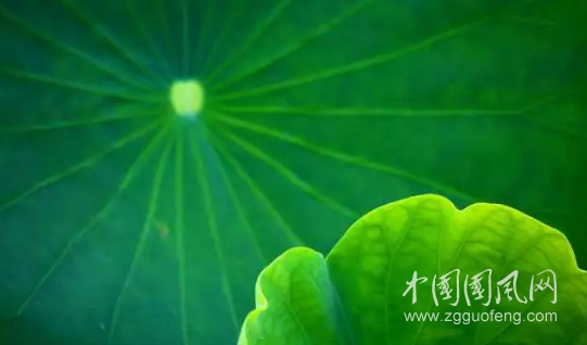 QQ截圖20180605174221.png
