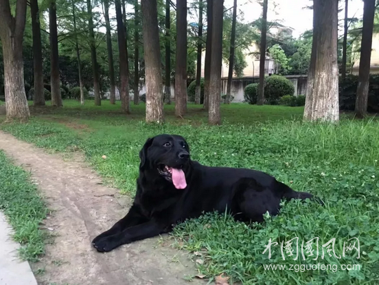 QQ截圖20180614174135.png